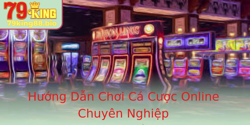 Hướng Dẫn Chơi Cá Cược Online Chuyên Nghiệp Hướng Dẫn Chơi Cá Cược Online Chuyên Nghiệp