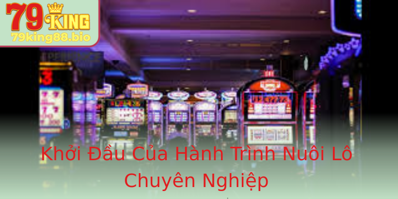 Khởi Đầu Của Hành Trình Nuôi Lô Chuyên Nghiệp