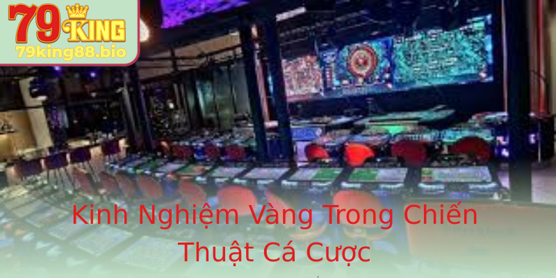 Kinh Nghiệm Vàng Trong Chiến Thuật Cá Cược